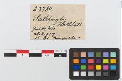Etiketten zu Bronzesnietstift (NHMW-PRAE-023780)